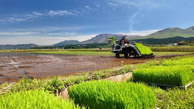 阿蘇カルデラの大地で田植え作業