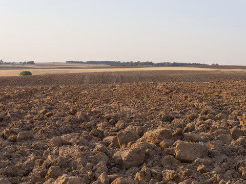 Wide view of a plowed field in the countryside during late afternoon in a rural area
