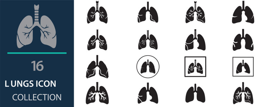 Human lungs icon collection, 16 medical respiratory system vector symbols, black anatomical lung silhouettes for healthcare and pulmonology