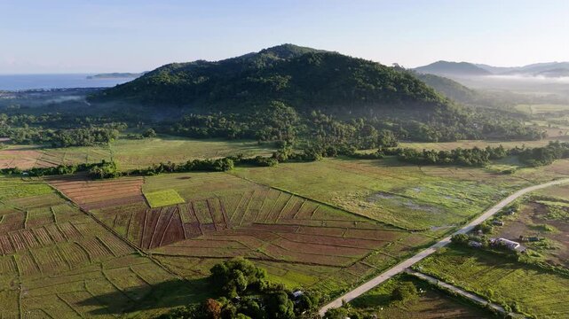 Aerial drone view of dry and fallow patchwork agricultural fields beside a road, backed by a forested hill and glimpse of distant sea under clear morning sky, Barotuan, El Nido, Palawan, Philippines.