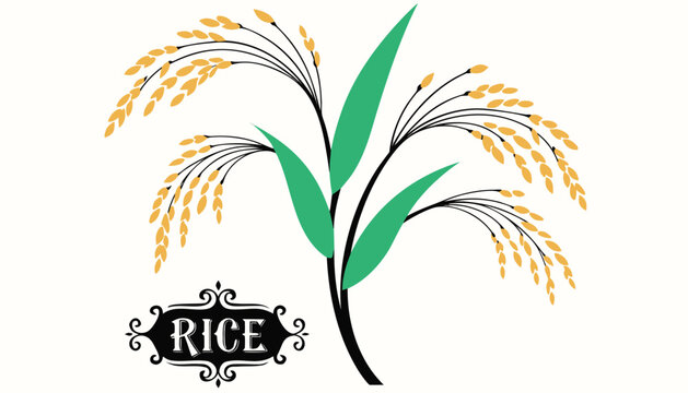 Very beautiful RICE plant with elegant grain clusters and green leaves, accompanied by a decorative botanical label reading "RICE", isolated on white background.