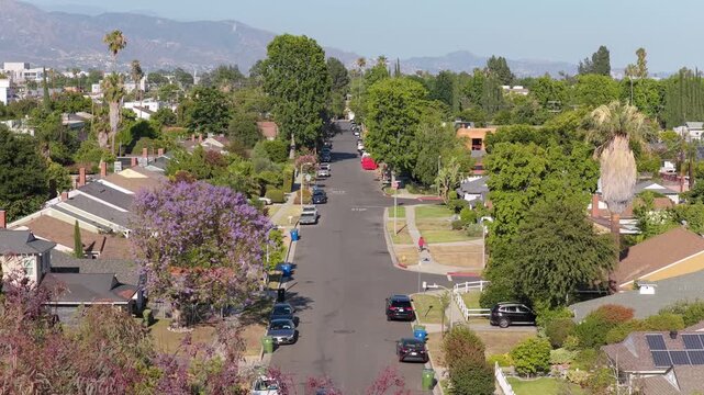 Scenic aerial from a tripod of tree lined residential street with blossoming jacaranda trees and modern homes in a quiet Los Angeles neighborhood