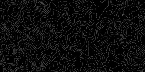 Fractal lines background. Topographic map like abstract backdrop. Design illustration for wall art, fabric, packaging, web, banner, app, wallpaper. © Noor