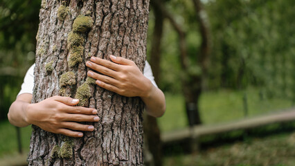 Human Connection With Nature Hugging Tree In Forest Conservation Concept © อภิสิทธิ์ ปักเหนือ