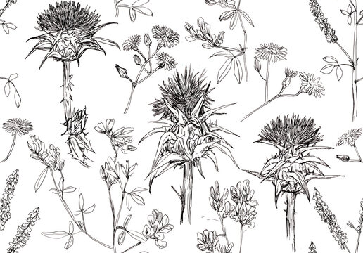 Patr&oacute;n hecho a mano de flores dibujados a mano, flores silvestres, l&iacute;nea negras sobre fondo blanco, cardos, flores de campo, margaritas. Ilustraci&oacute;n de l&iacute;nea en blanco y negro realizada con bol&iacute;grafo