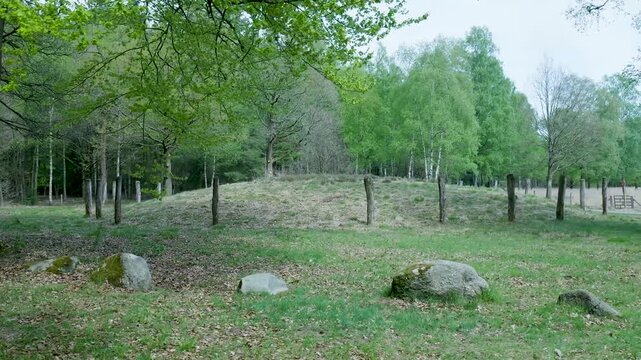 Prehistoric burial mound in a dutch forest landscape