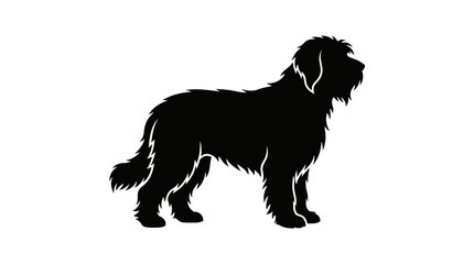 Obraz premium Silhouette of a large fluffy dog standing in profile view
