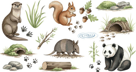 Wild animals and forest habitat elements collection set with otter squirrel armadillo panda footprints and dens isolated on white background vector illustration © Kulsum