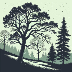 Illustration of a forest landscape with deciduous and coniferous trees in a flat vector style landscape coniferous ©  Stock Gallery