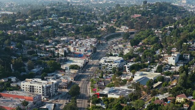 Los Angeles's Echo Park avenue showing residential and commercial buildings surrounded by lush trees, revealing Silver Lake hills and reservoir in background