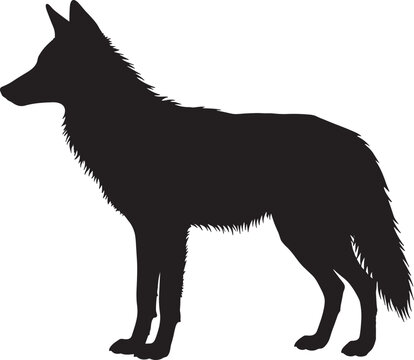 Black Silhouette of Standing Wolf Dog Isolated on White Background for Wildlife Logo and Nature Design