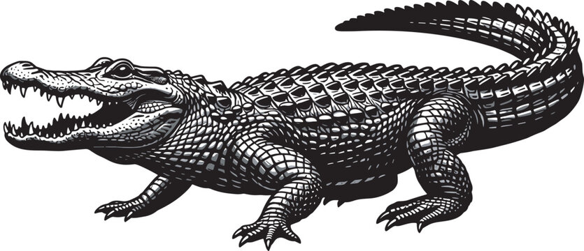 Detailed Crocodile Illustration Isolated on Light Background Representing Wildlife Reptile Predator and Dangerous Animal Concept