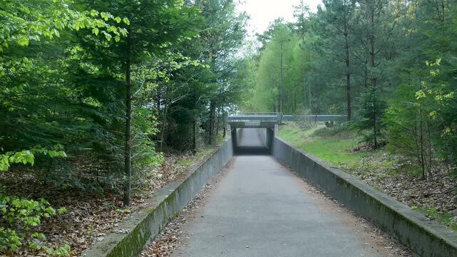 Pov walking through a wildlife crossing underpass in a forest