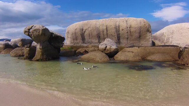Boulder Beach in South Africa with its Penguins colony. African penguins located near Simon's Town.