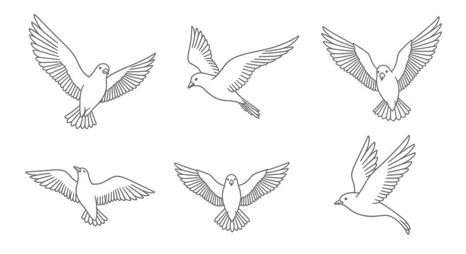 Six detailed line art illustrations of white doves in various flying positions, showcasing their graceful wings and peaceful movement.