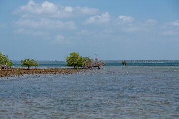 Fototapeta premium Ship and industrial pipeline operations along the ocean in Tanga highlighting maritime trade and coastal infrastructure.