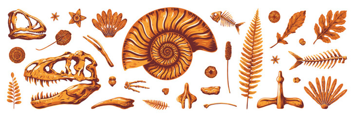Fossil Vector Collection with Dinosaur Footprints, Fish Skeletons, Shells and Plant Imprints, Prehistoric Paleontology Watercolor Set © RPO YEN