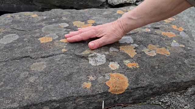 Hand holding a stone. Norway. June 2026