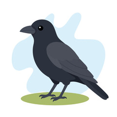 Obraz premium Common raven in flat wildlife style. Common raven illustration featuring Corvus corax, intelligent black bird for education use.