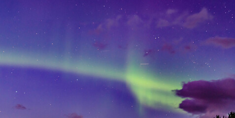 Aurores boréales illuminant le ciel nocturne arctique  © HAMADACHE