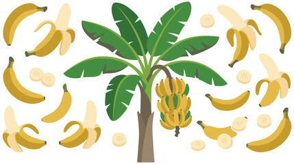 Banana tree and various fresh yellow fruits illustration. © GW
