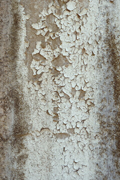 d&eacute;tail de texture sur un mur d&eacute;cr&eacute;pi ocre et marron de la fa&ccedil;ade d'une vieille maison en b&eacute;ton 