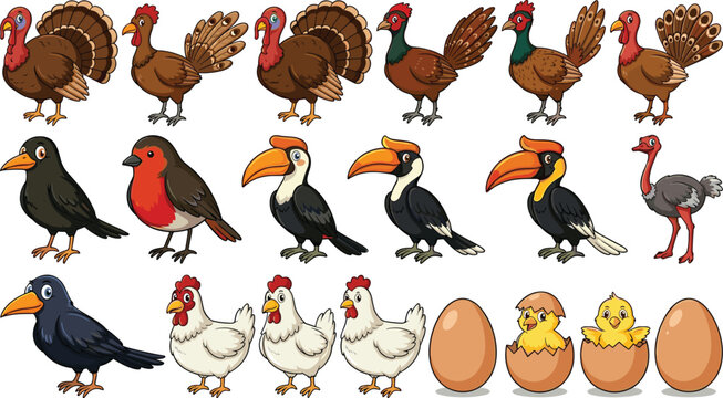 Cartoon Birds Vector Character Set with Turkey Crow Hornbill Chicken Hen Ostrich Eggs and Hatching Chicks for Educational and Sticker Design