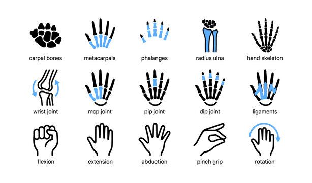 Hand anatomy icons showing bones joints and gestures in grid