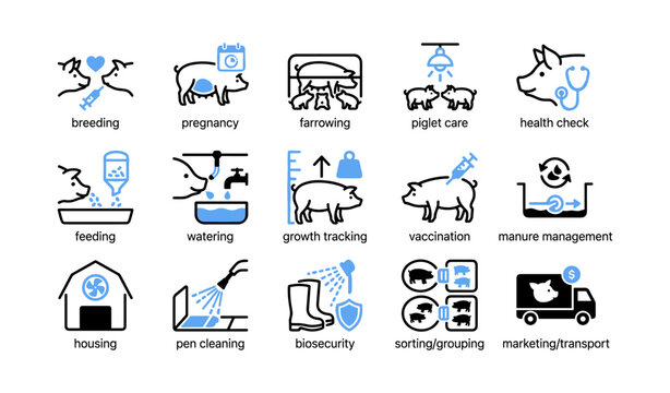 Pig farming management and husbandry icons on white background
