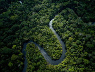 Fototapeta premium Amazon rainforest river meandering through dense jungle from above