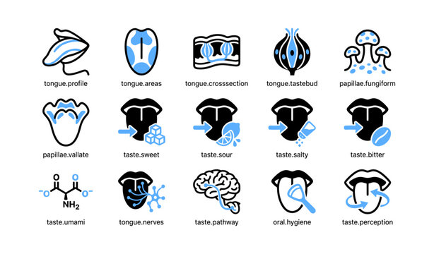 Tongue and taste icons illustrating taste areas and sensations