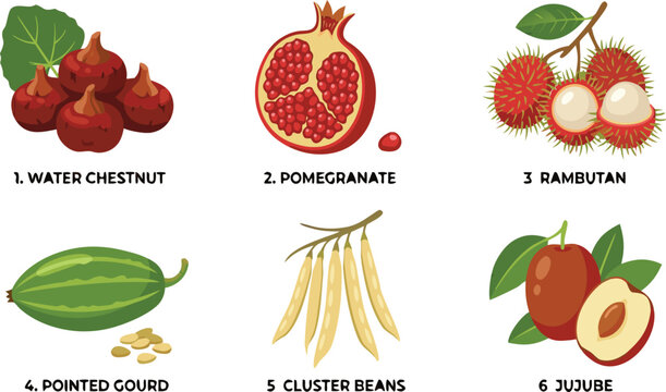 set of fruits with labels, perfect for educational materials, healthy eating concepts, and food-related designs.