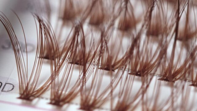 False eyelashes extension set with brown lashes, closeup. Makeup accessories