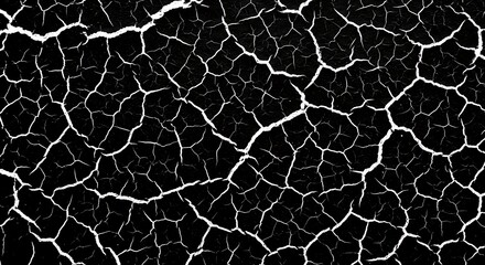 Fototapeta premium Cracked earth texture high resolution black and white backround for graphic design
