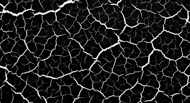 Cracked earth texture high resolution black and white backround for graphic design