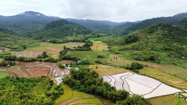 Aerial drone view of rice fields, palm forest and scattered houses beneath dramatic monsoon clouds over distant mountains, Pasadena, El Nido, Palawan, Philippines.