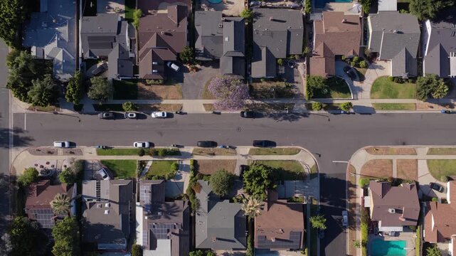 Top down flight over Los Angeles residential neighborhood showing homes, backyards with pools, jacaranda trees in full bloom during sunny California morning