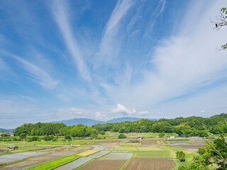 青空と白い雲が描く、明日香村の原風景 © かめです