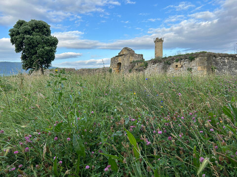Medieval Stone Fortress Ruins with Wildflower Meadow and Watchtower, La Galea, Getxo