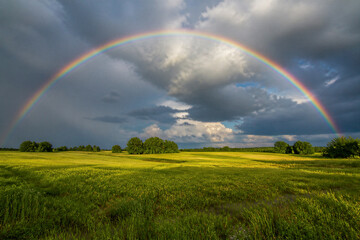 Naklejka premium Full rainbow arcing over green field after storm in countryside