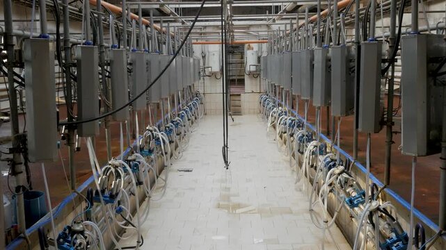 Two long rows of automated milking equipment stand empty inside a clean tiled parlor on a large dairy farm.