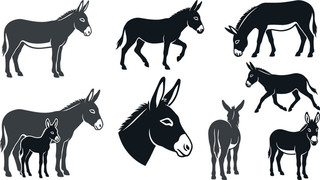 Donkey silhouette vector illustration set featuring farm animal burro foal mule jackass standing grazing walking and head profile