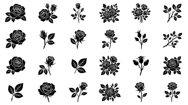 Black rose silhouette grid collection with elegant floral botanical designs