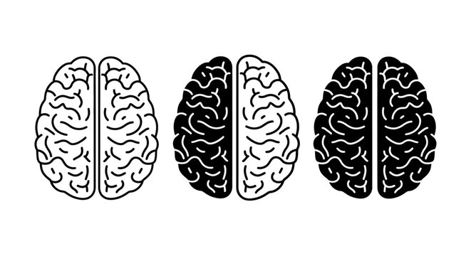 Brain, human brain, black and white, vector illustration, psychology, neurology, 3 brains