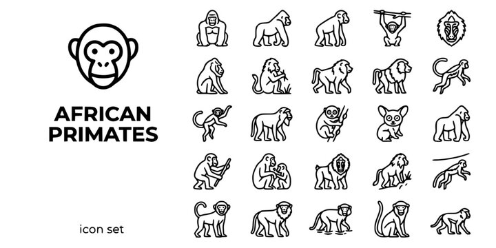 African Primates Great Apes Bold Line Icons-Gorilla Silverback Chimpanzee Bonobo Mandrill Gelada Baboon Colobus Bush Baby Potto-25 Primate Icon Set Vector