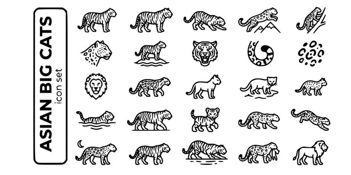 Asian Big Cats Apex Predators Bold Line Icons-Bengal Tiger Siberian Tiger Snow Leopard Clouded Leopard Asiatic Lion Sumatran Tiger-25 Asian Cats Icon Set Vector
