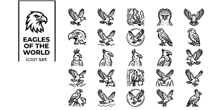 Eagles of the World Bold Line Icons-Bald Eagle Golden Eagle Harpy Philippine Martial Steller Sea Eagle White-Tailed Wedge-Tailed Harpy-25 Eagle Icon Set Vector