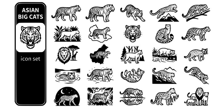 Asian Big Cats Apex Predators Bold Line Icons-Bengal Tiger Siberian Tiger Snow Leopard Clouded Leopard Asiatic Lion Sumatran Tiger-25 Asian Cats Icon Set Vector