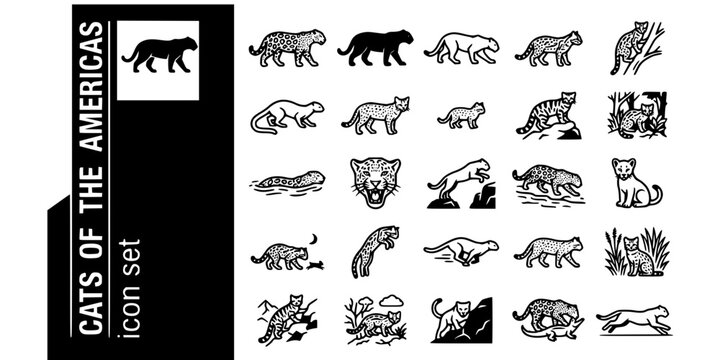 American Cats Predators Bold Line Icons-Jaguar Melanistic Puma Ocelot Margay Jaguarundi Geoffroy Kodkod Andean Mountain Cat Oncilla-25 Americas Cats Icon Set Vector