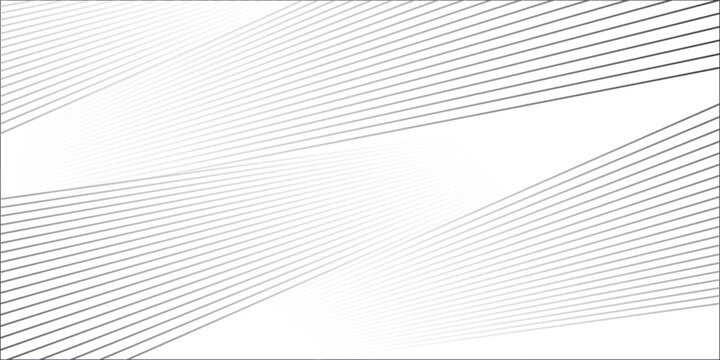 White black color. Linear background. Design elements. Poligonal lines. Protective layer for banknotes, certificates template. Vector Vector lines of different thicknesses from thin to thick